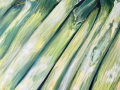 LEEKS